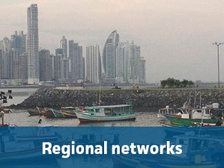 Regional networks